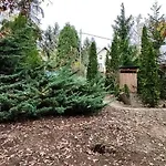 Tatil Evi árnyas Tölgy Verőcemaros