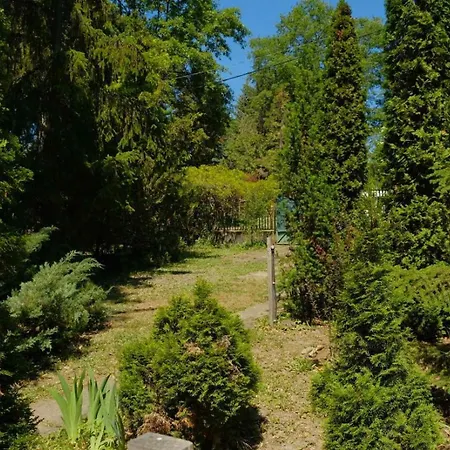 Tatil Evi árnyas Tölgy *