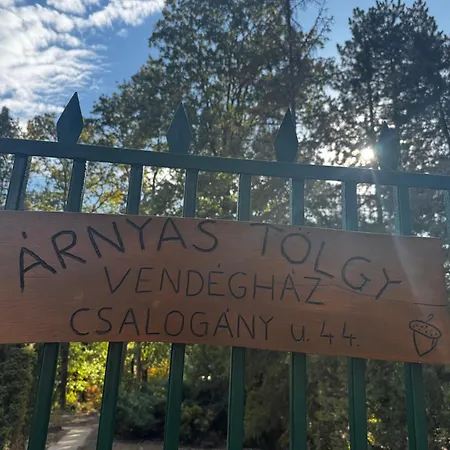 Arnyas Toelgy * Verőcemaros